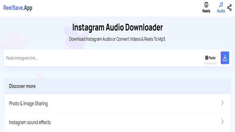 reelsave ins audio downloader