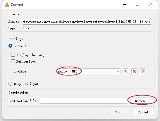 vlc convert mkv to mp3