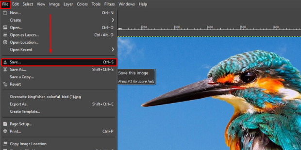Increase Resolution of Image Using Gimp 3