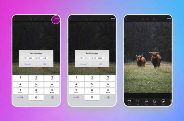 Increase Resolution of Image Using Picsart 2
