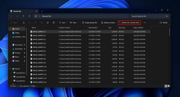 restaurar los elementos seleccionados de la papelera de reciclaje