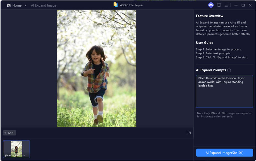preview repaired videos
