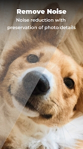 ai photo enhancer denoise it