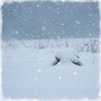 animated snow sequence