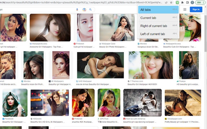 bulk image downloader chrome erweiterung