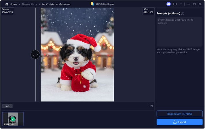 christmas dog photo for bernedoodle