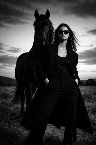 cinematic black horse aura farm portrait