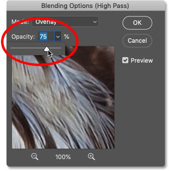 control opacity slider