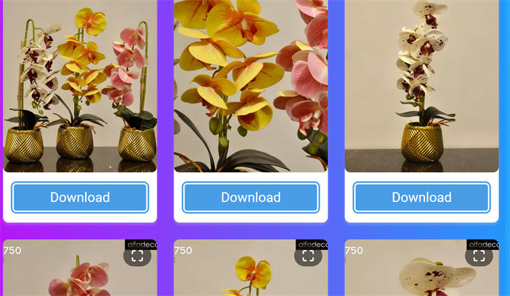 Téléchargement de photos Instagram avec sssinstagam-2