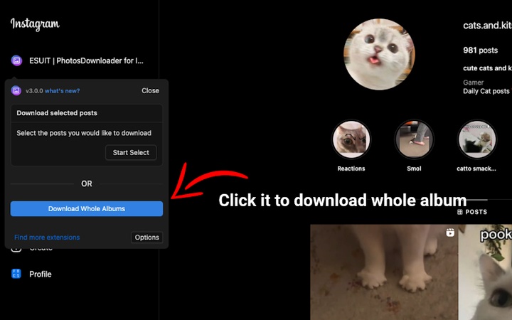esuit photos downloader für instagram chrome erweiterung