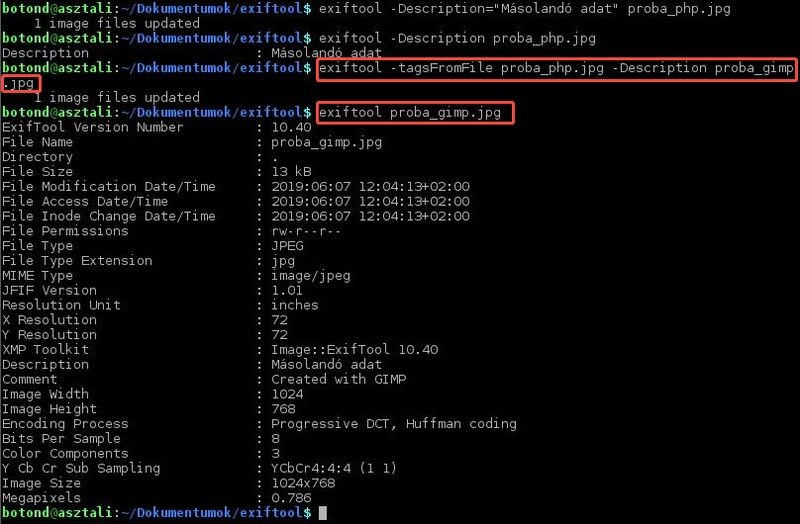 exiftool transfer photo exif data