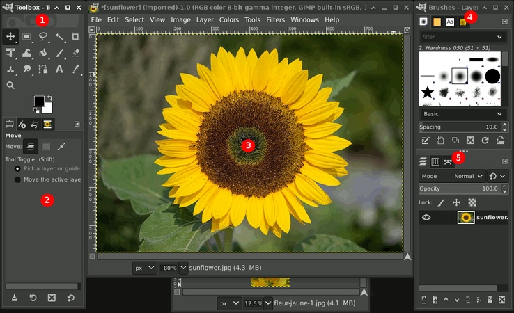 gimp interface