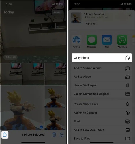 iphone photos app copy photo