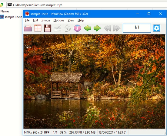 irfanview and heic plugin