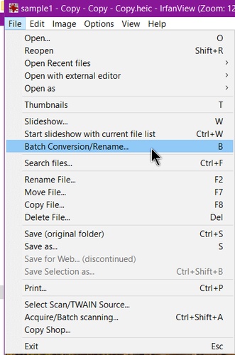 irfanview batch conversion or rename