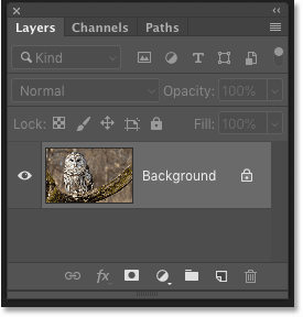 layers panel options