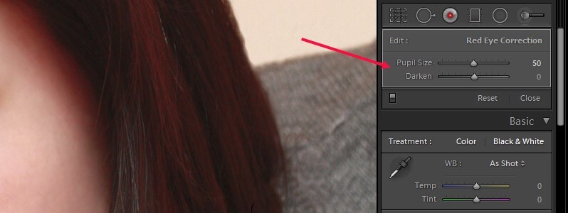 parámetros de ajuste de Lightroom