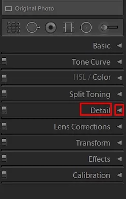 ightroom develop module detail panel