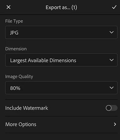 lightroom mobile app export files as jpg