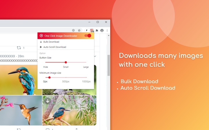 one click image downloader chrome erweiterung