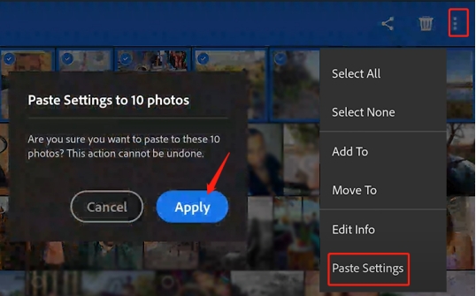 denoise multiple photos in lightroom mobile app