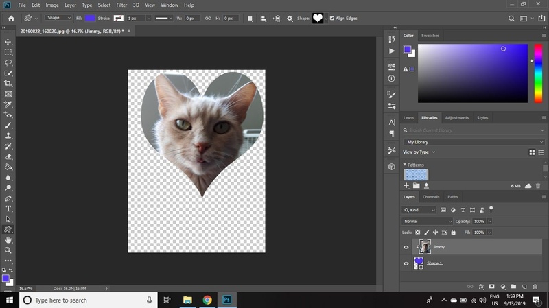 logiciel similaire à GIMP Photoshop