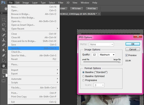 photoshop image processor batch convert dng to jpeg