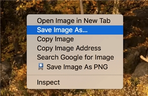 heic als jpg bei google photos speichern