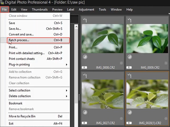 select dpp batch processing feature