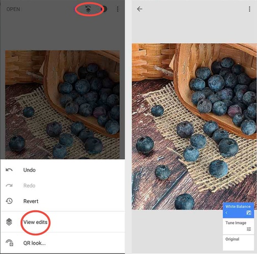 snapseed nef file viewer