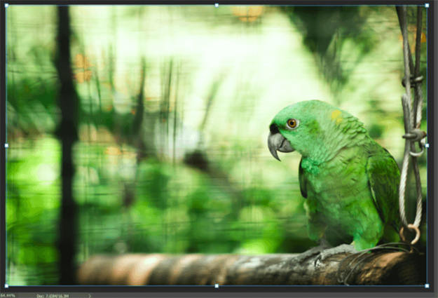 변환 도구 사용