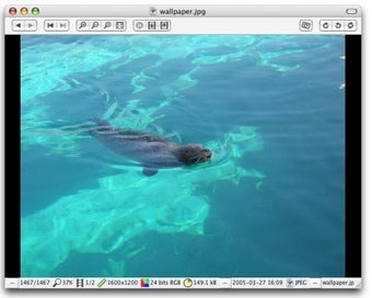 xee photo viewer