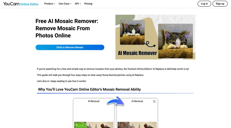 youcam suppression mosaïque IA