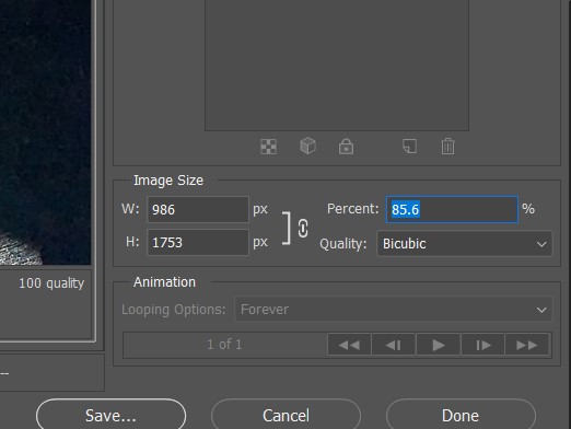select an image format