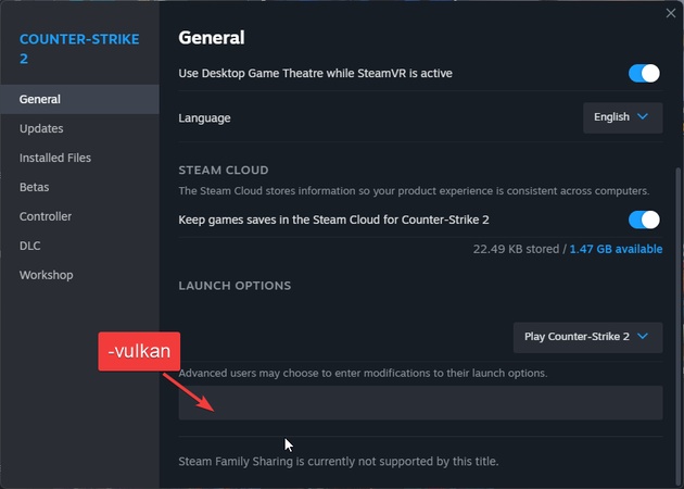 change rdr2 api to vulkan to fix out of memory