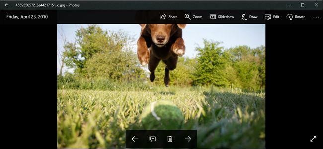 remove duplicate photos using Windows Photos App