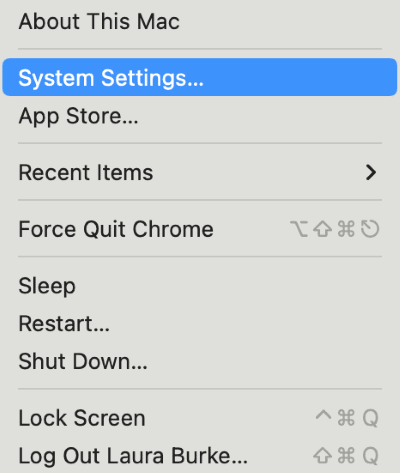 apple system settings