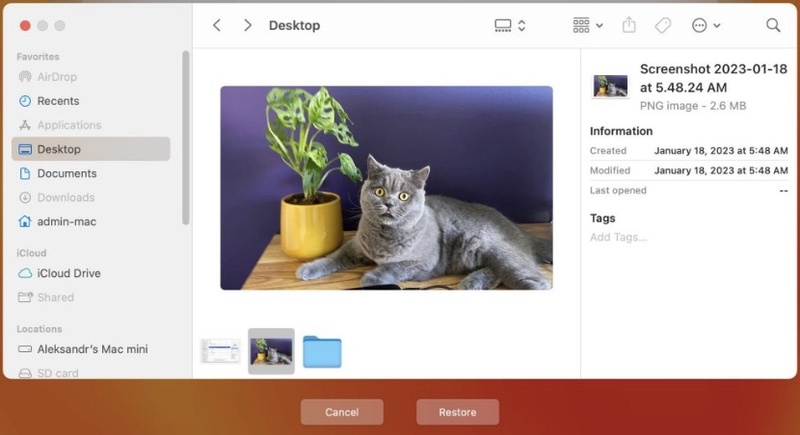 restore deleted files via time machine on mac