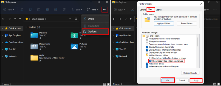 show hidden files folders and drives windows 11