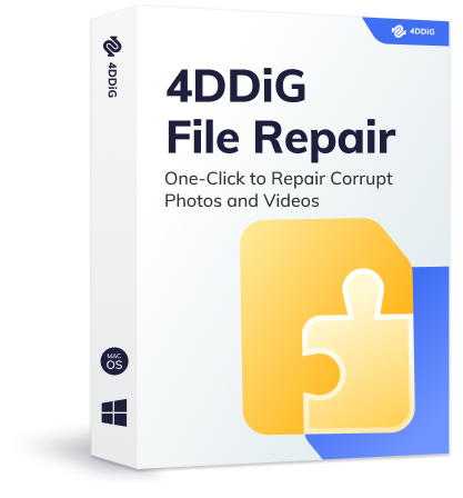 4DDiG File Repair