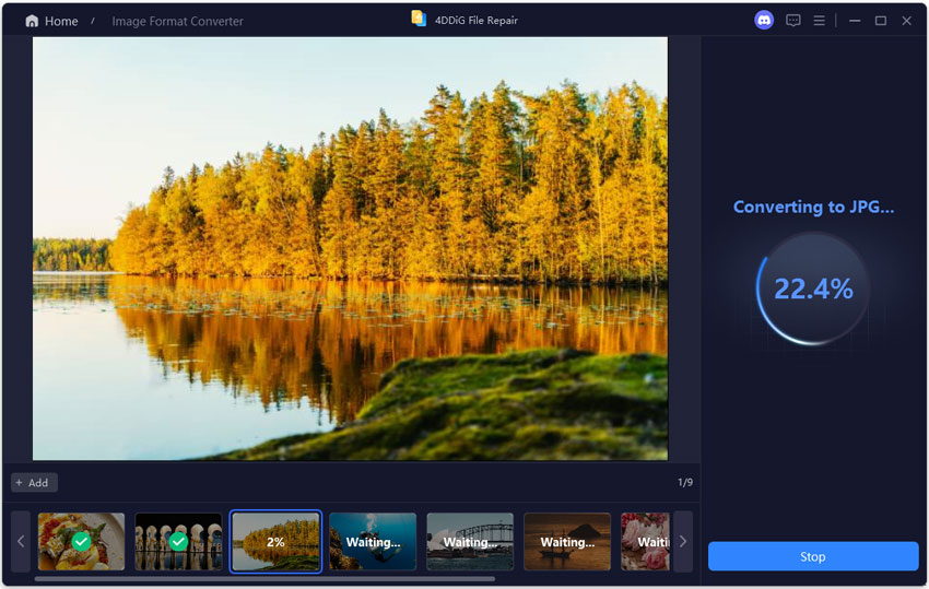 4ddig file repair builtin image format converter