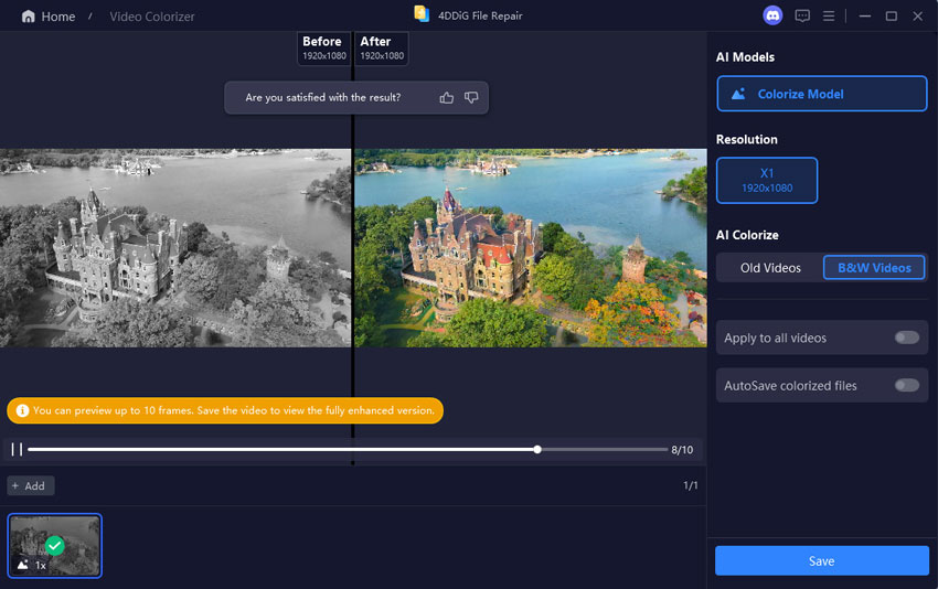 preview and save colorized videos