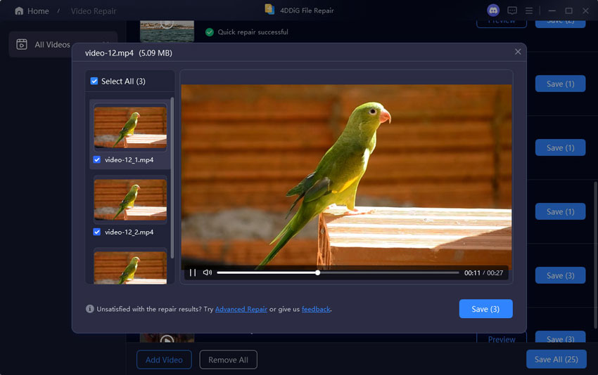 preview repaired video