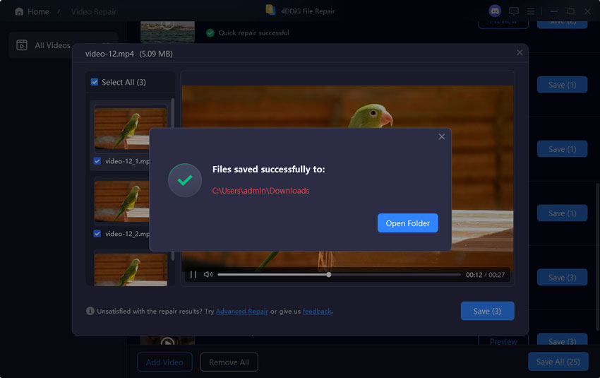 save repaired videos