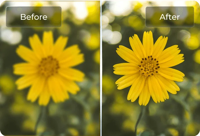 4ddig photo enhancer