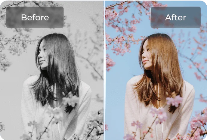 4ddig photo enhancer