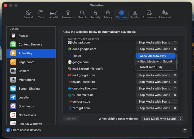 allow all autoplay on safari website