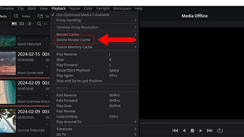 delete render cache davinci resolve
