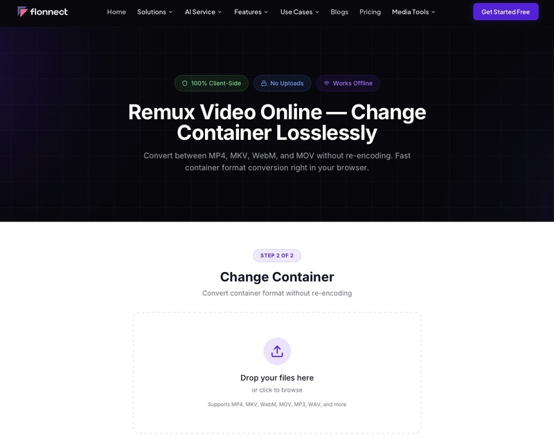 flonnect remux container
