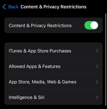 Inhalte- und Datenschutzbeschränkungen für Bildschirmaufnahme auf dem iPhone erlauben
